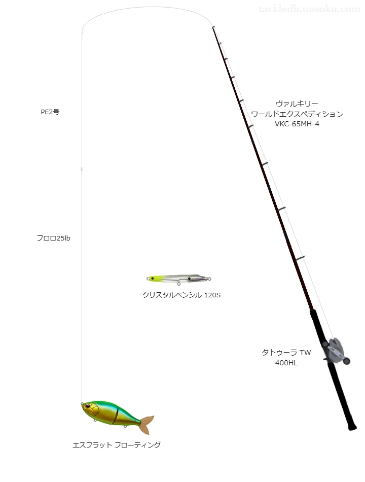 ヴァルキリー ワールドエクスペディション VKC-65MH-4,タトゥーラ TW 400HL,ジョイントベイトを使うボートシーバスタックル【仮想インプレ】