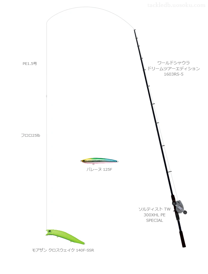 ワールドシャウラ ドリームツアーエディション 1603RS-5とソルティスト TW 300XHL PE SPECIALによる高級ボートシーバスタックル【仮想インプレ】