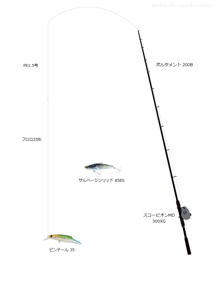 ピンテール 35におすすめのシーバスタックル【ポルタメント 200B】