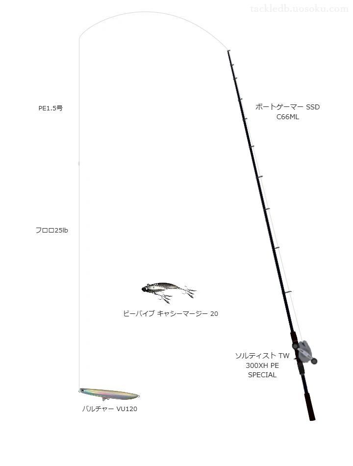 ボートゲーマー SSD C66MLとソルティスト TW 300XH PE SPECIALを組み合わせたシーバスタックル【仮想インプレ】