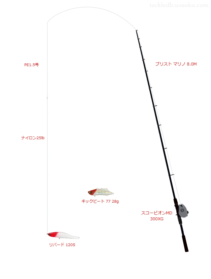 オールマイト 1.5号とD-SPEC ABSORBER 25lbを使用したシーバスタックル【ブリスト マリノ 8.0M】