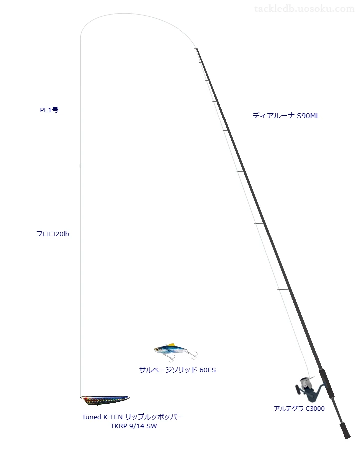 Tuned K-TEN リップルッポッパー TKRP 9/14 SWにおすすめのシーバスタックル【ディアルーナ S90ML】