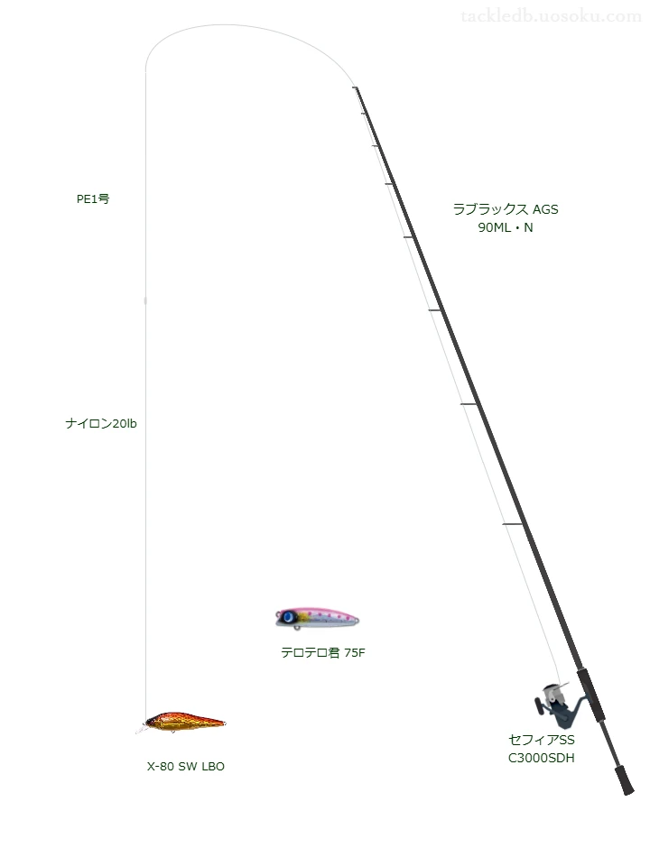 ウエイトが12.0g程度のルアーのためのシーバスタックル【X-80 SW LBO】