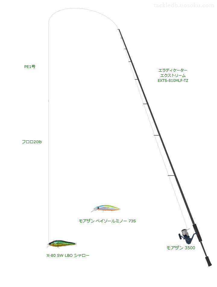 エラディケーター エクストリーム EXTS-810MLF-TZとX-80 SW LBO シャローによる最強シーバスタックル