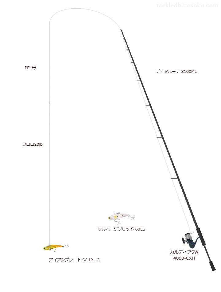 ディアルーナ S100MLの仮想使用におけるインプレッション