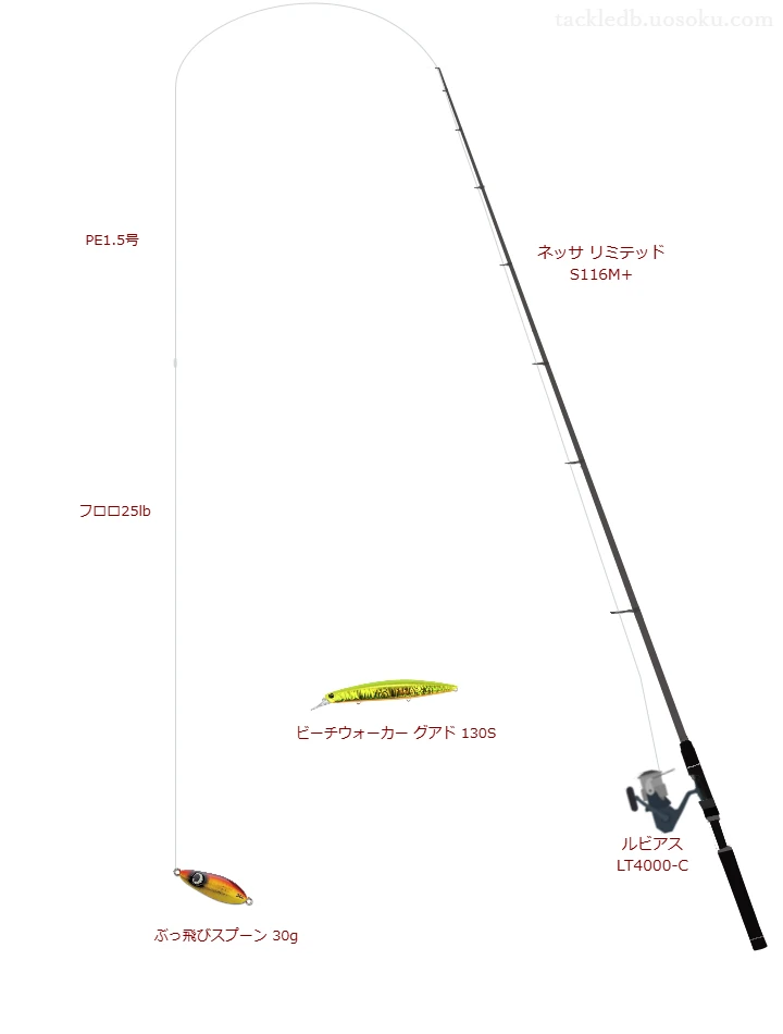 ウエイトが30.0g程度のルアーのためのサーフタックル【ぶっ飛びスプーン 30g】