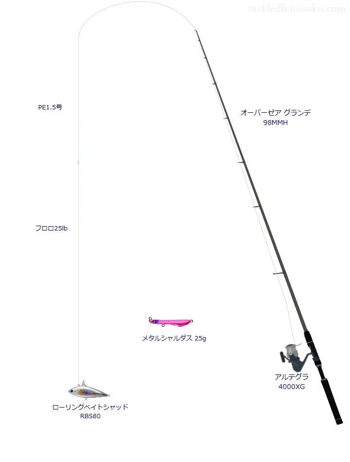 オーバーゼア グランデ 98MMHとによるサーフタックル【Vインプレ】