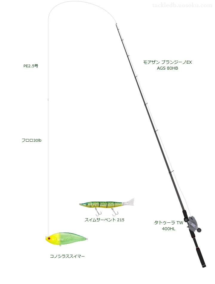 コノシラススイマーのためのシーバスタックル【ミノー】