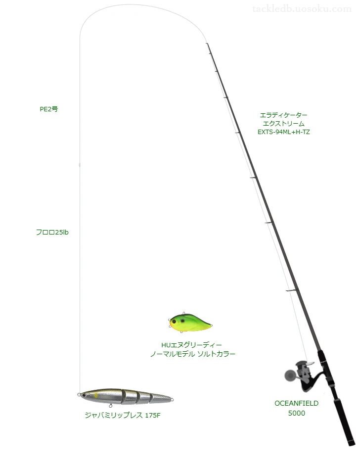 ジャバミリップレス 175Fの仮想使用におけるインプレッション