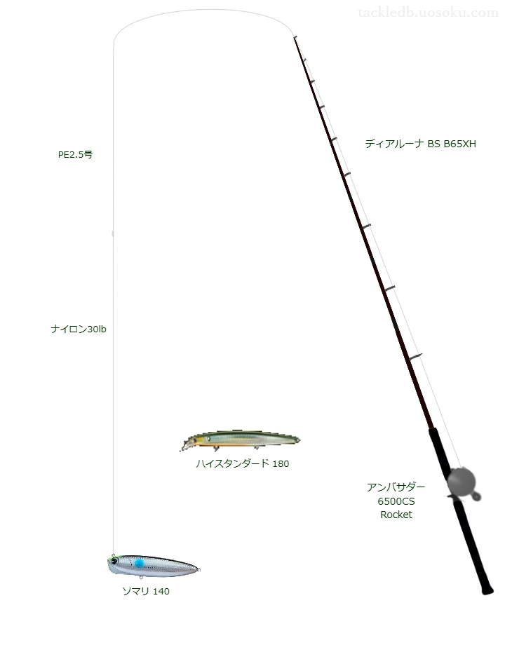 SWスーパーPE 2.5号とD-SPEC ABSORBER 30lbを使用したシーバスタックル【ディアルーナ BS B65XH】