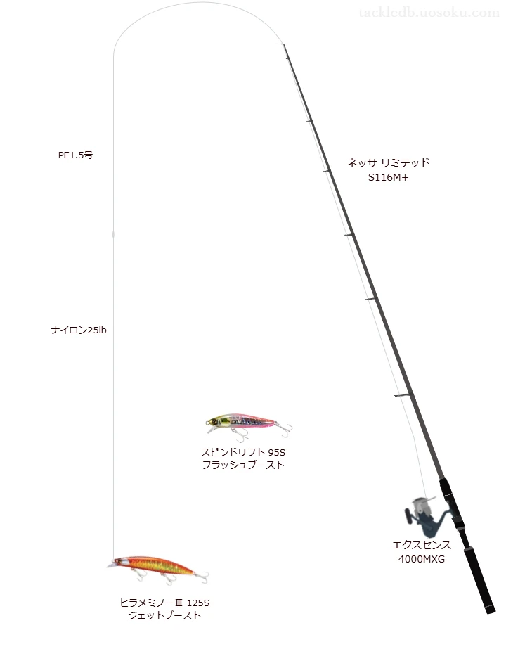 25.0gのルアーを扱うサーフタックル【ネッサ リミテッド S116M+】