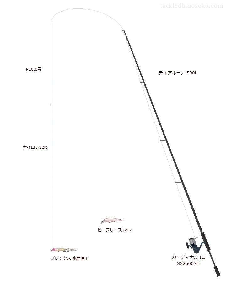 【河川】プレックス 水面直下を活かすシーバスタックル【仮想インプレ】