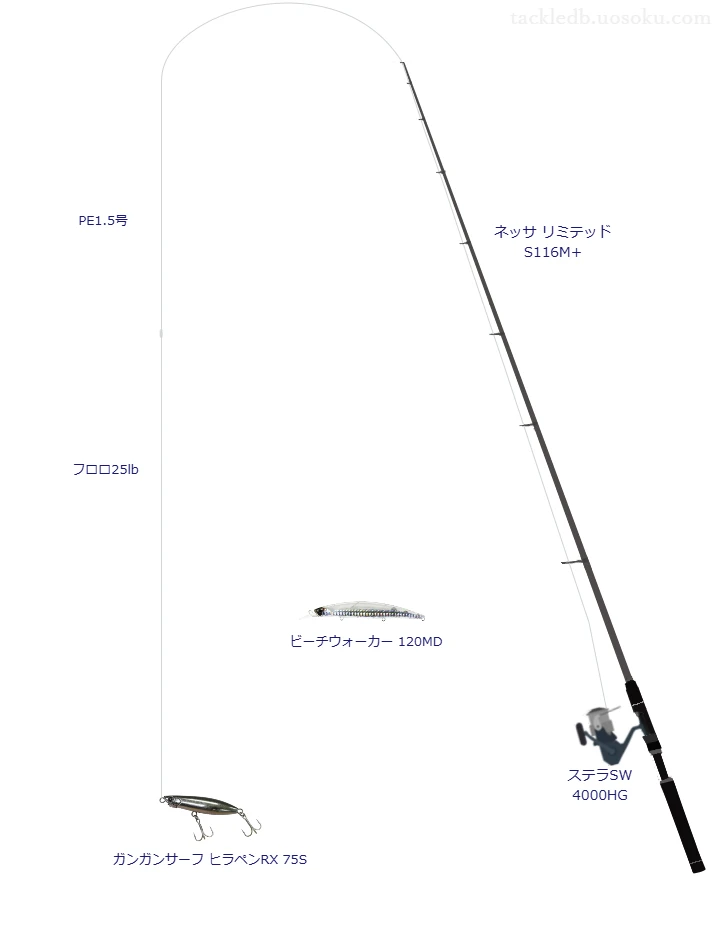 ネッサ リミテッド S116M+とペンシルによるサーフタックル【Vインプレ】