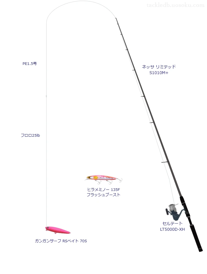 ネッサ リミテッド S1010M+の仮想使用におけるインプレッション