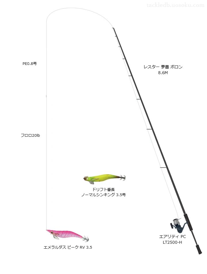 レスター 夢墨 ボロン 8.6Mとエアリティ PC LT2500-H,PE0.8号によるエギングタックル