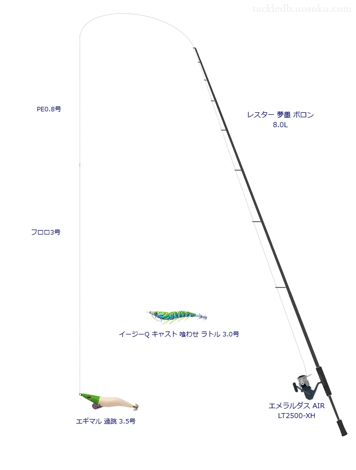 ARESのレスター 夢墨 ボロン 8.0Lを使用したエギングタックル【仮想インプレ】