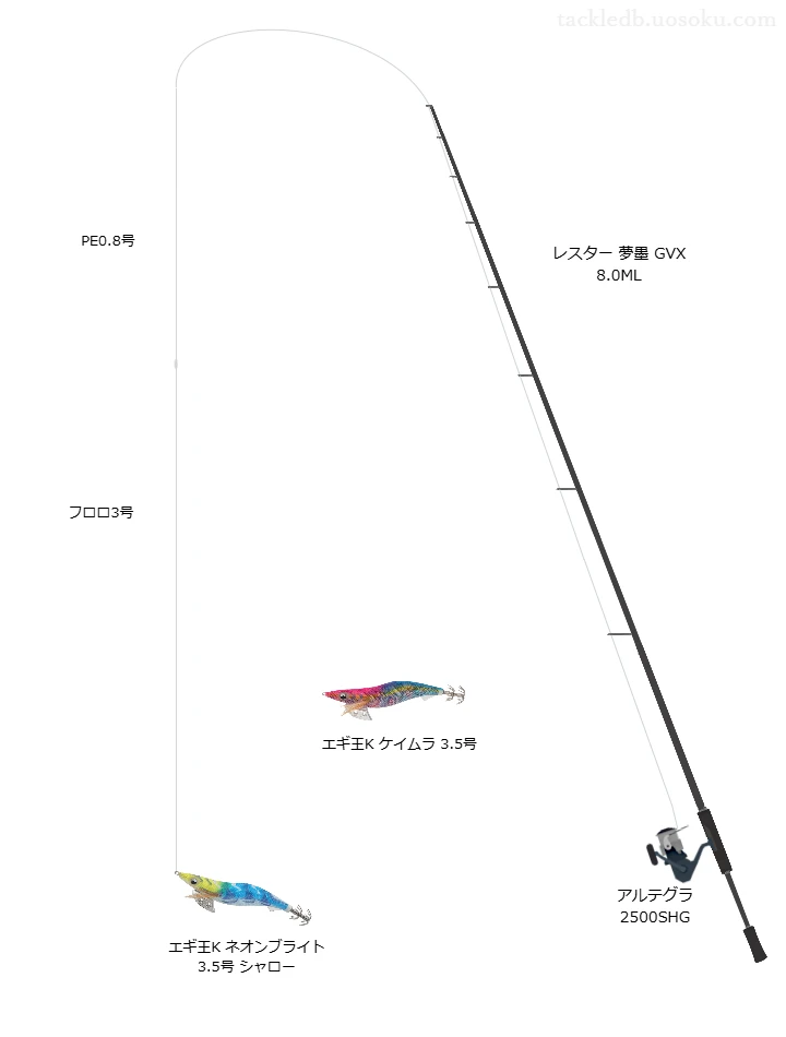 アルテグラ 2500SHGにレスター 夢墨 GVX 8.0MLを合わせるエギングタックル