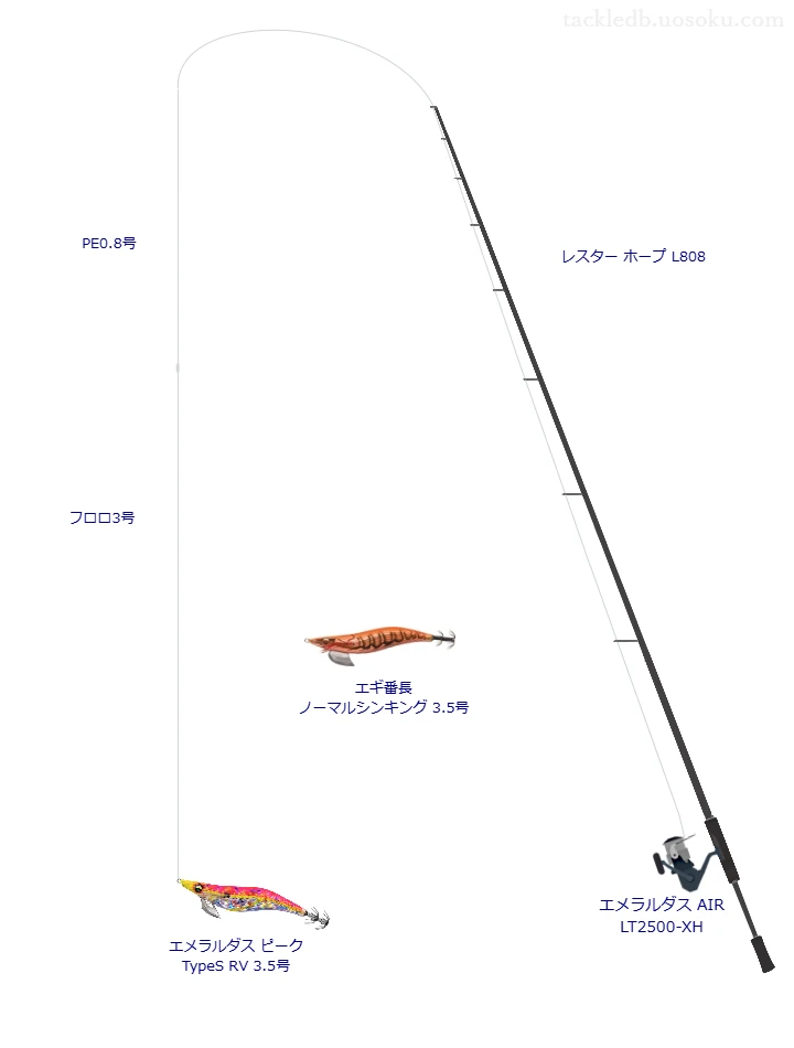 【下須島】エメラルダス ピーク TypeS RV 3.5号のためのエギングタックル【レスター ホープ L808】