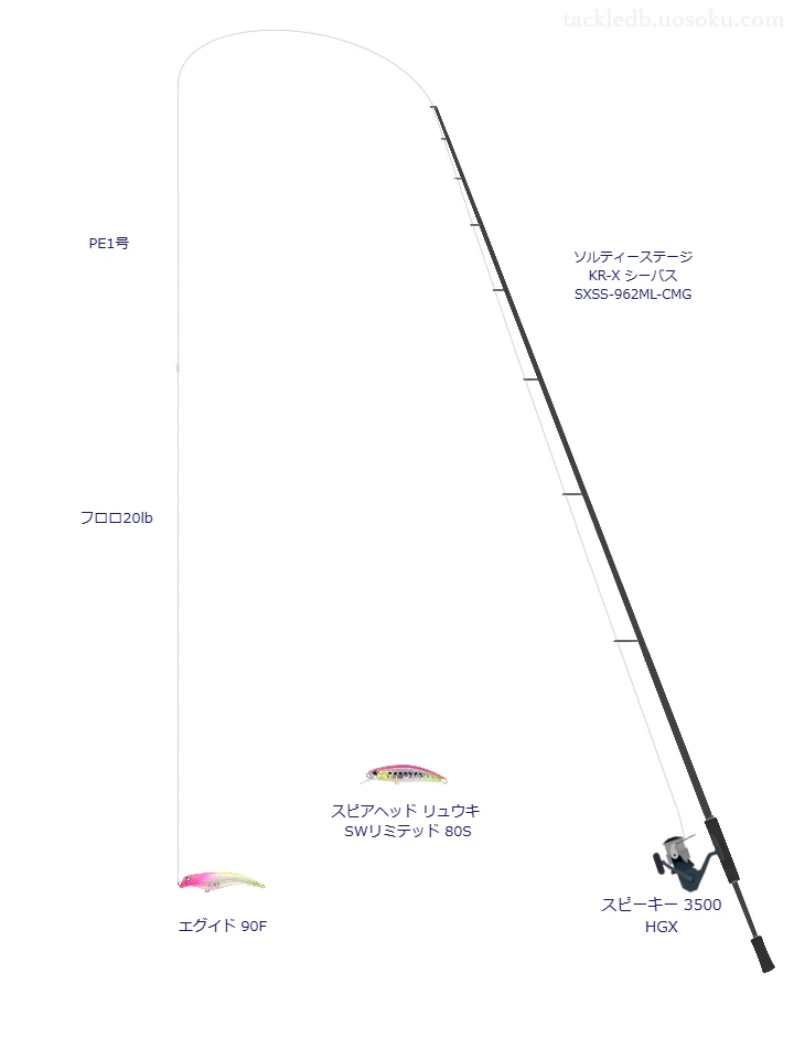 ショアシーバスに関するタックル、仕掛け図解