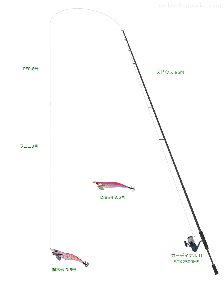メビウス 86Mを使用した最強エギングタックル