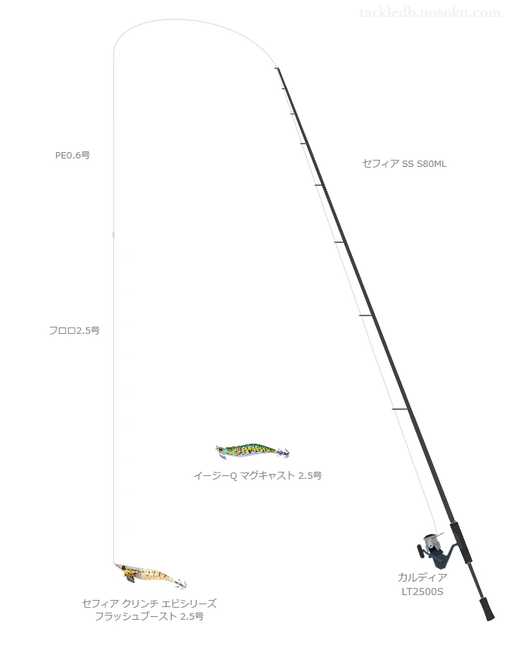 セフィア SS S80ML,カルディア LT2500S,を使うエギングタックル【仮想インプレ】