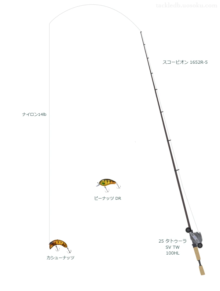 スコーピオン 1652R-5とクランクベイトによるバス釣りタックル【Vインプレ】