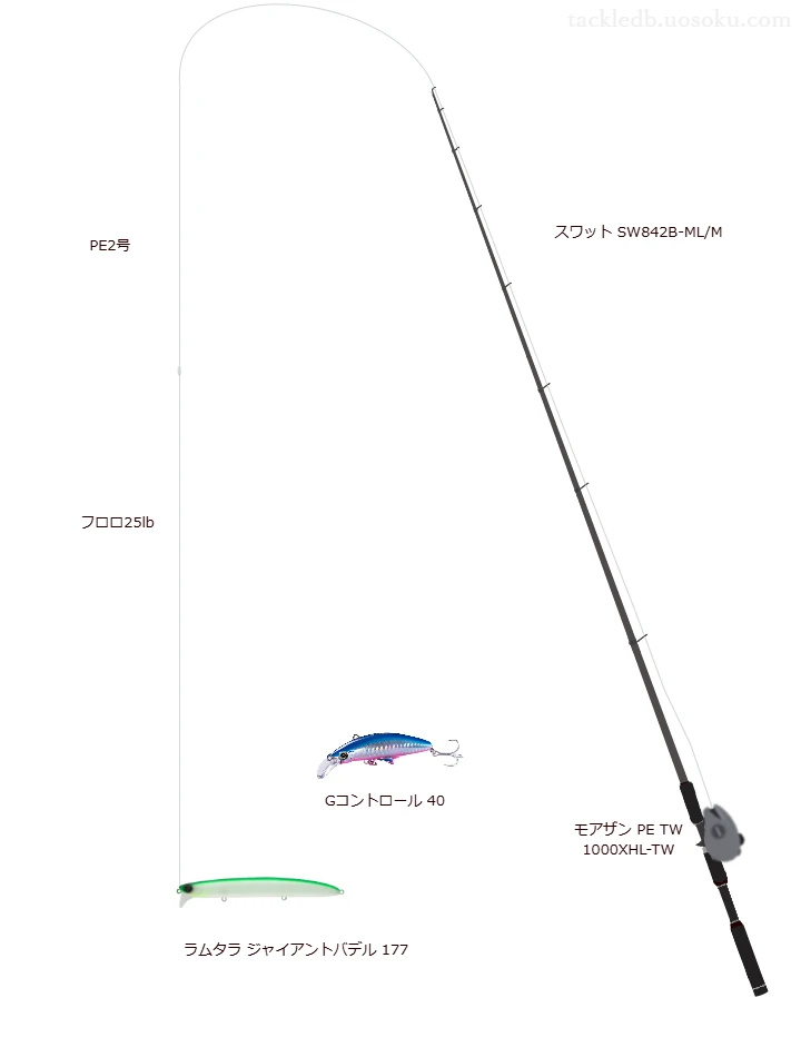 ウエイトが51.0g程度のルアーのためのシーバスタックル【ラムタラ ジャイアントバデル 177】