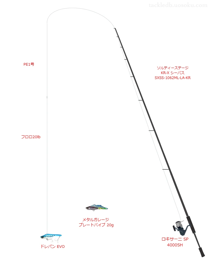 ショアシーバスに関するタックル、仕掛け図解
