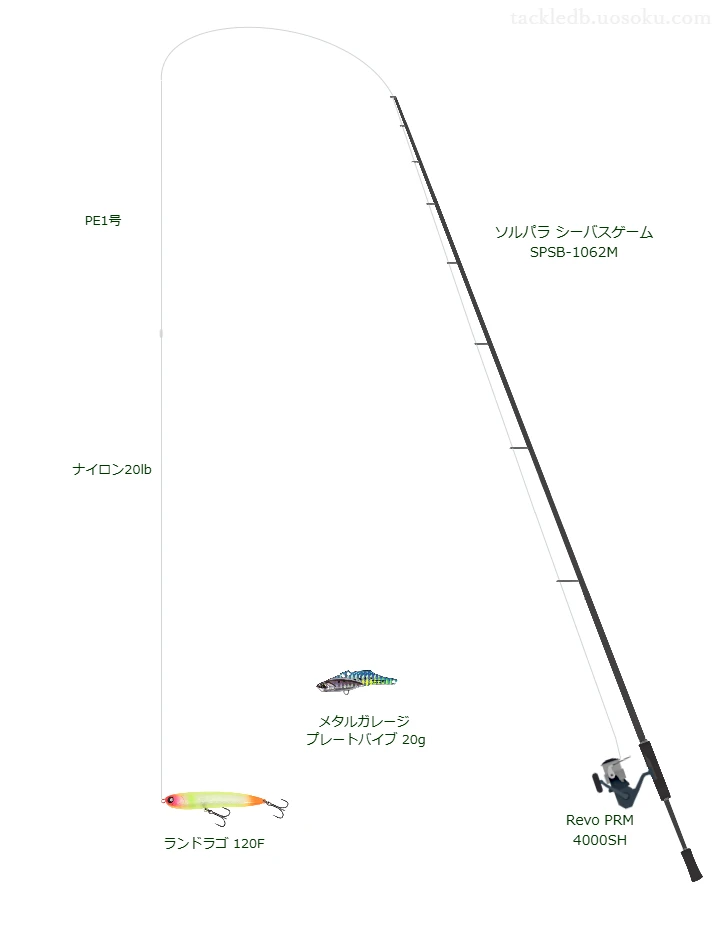 ショアシーバスに関するタックル、仕掛け図解