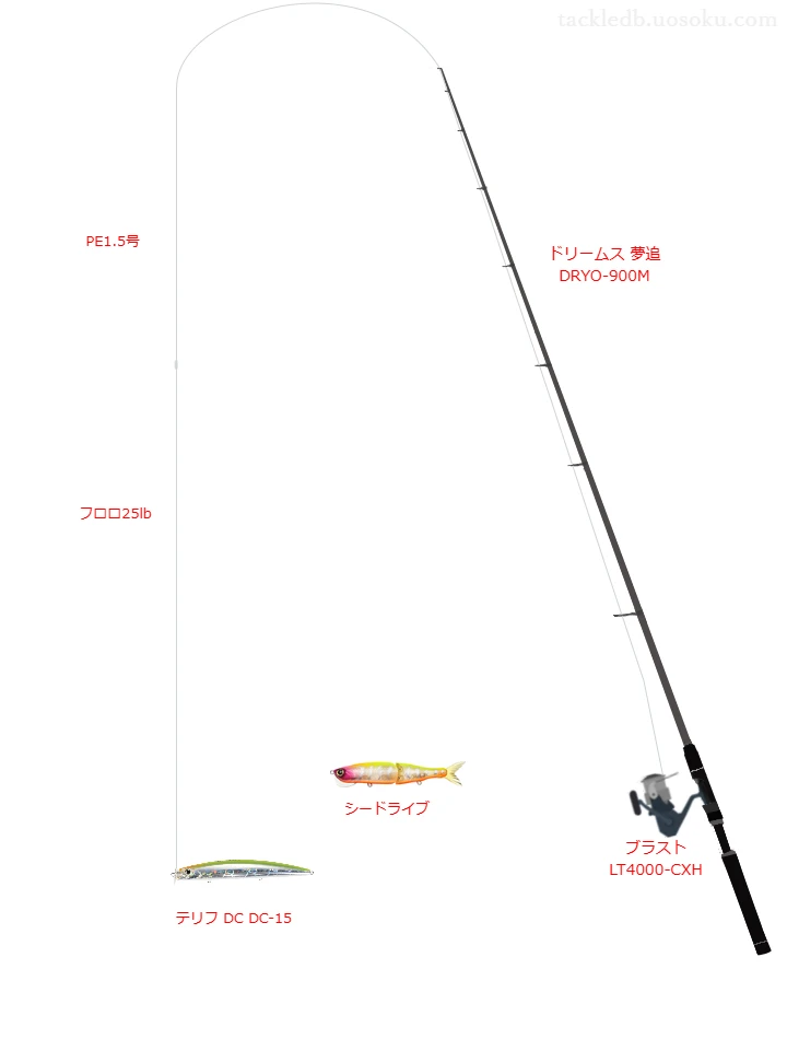 ショアシーバスに関するタックル、仕掛け図解