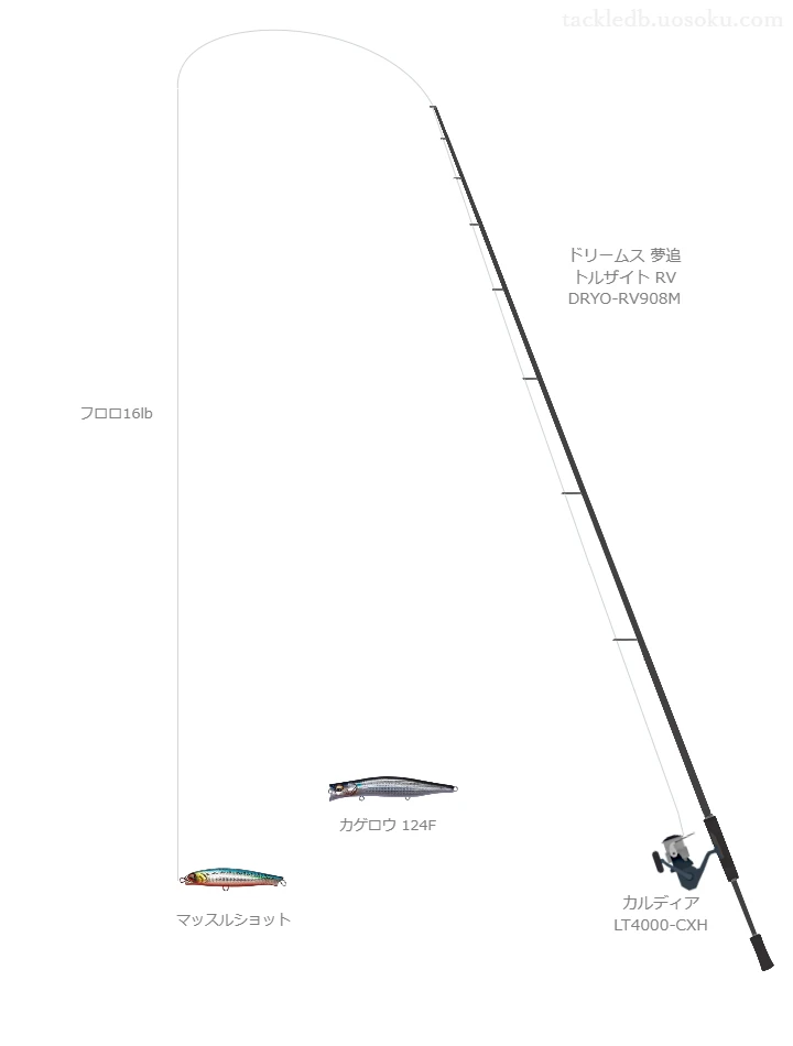 ウエイトが30.0g程度のルアーのためのシーバスタックル【マッスルショット】