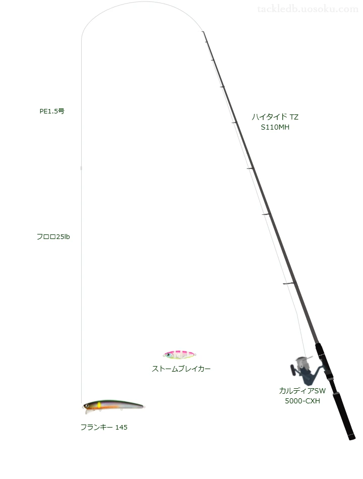 ハイタイド TZ S110MHとミノーによるシーバスタックル【Vインプレ】