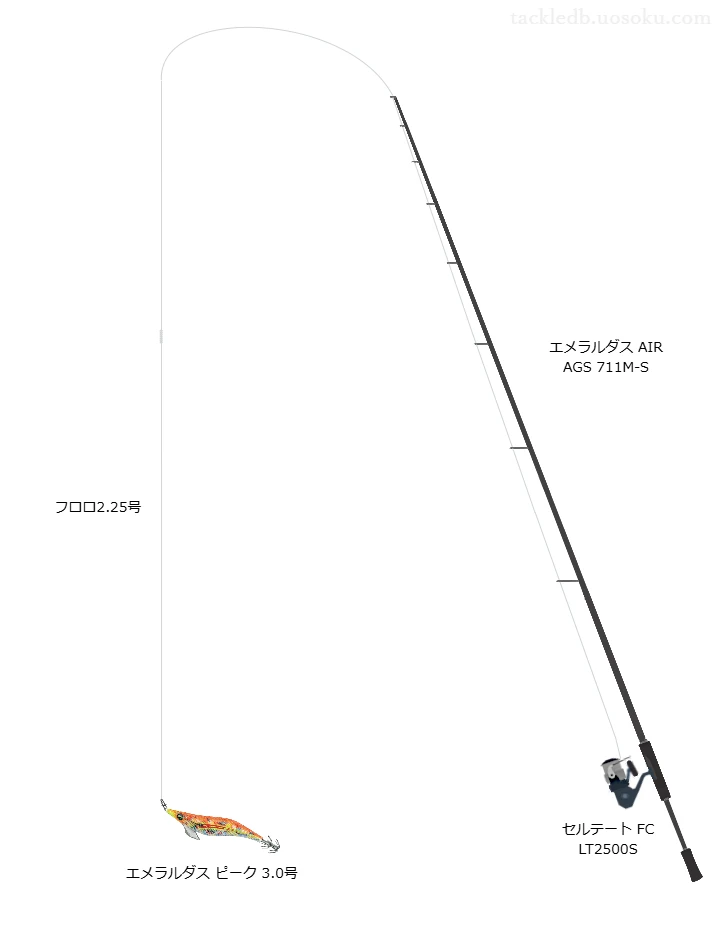薩摩半島秋イカ磯エギングタックル。24セルテート FC LT2500S。