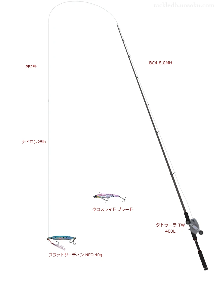 ウエイトが40.0g程度のルアーのためのシーバスタックル【フラットサーディン NEO 40g】