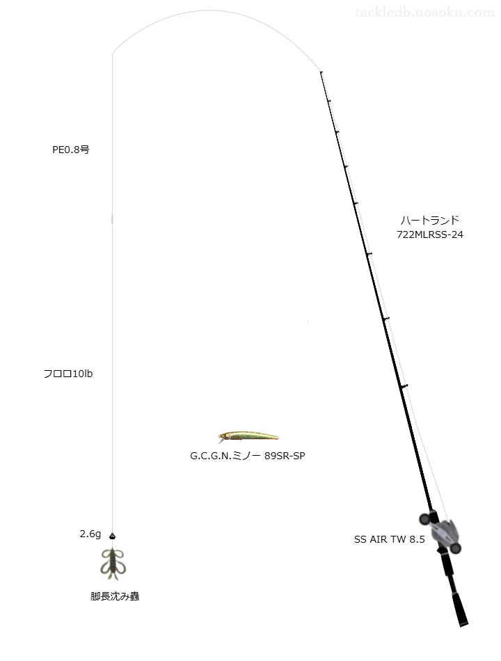 ベイトリールにPEラインで行うバス釣り【脚長沈み蟲】