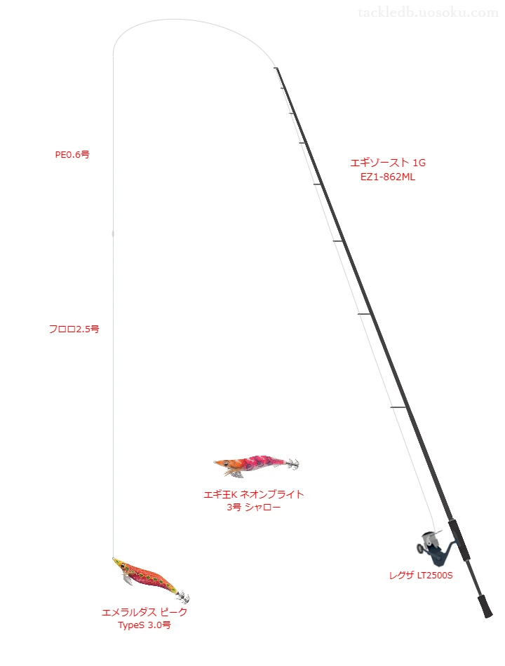 エギゾースト 1G EZ1-862MLを使用した最強エギングタックル