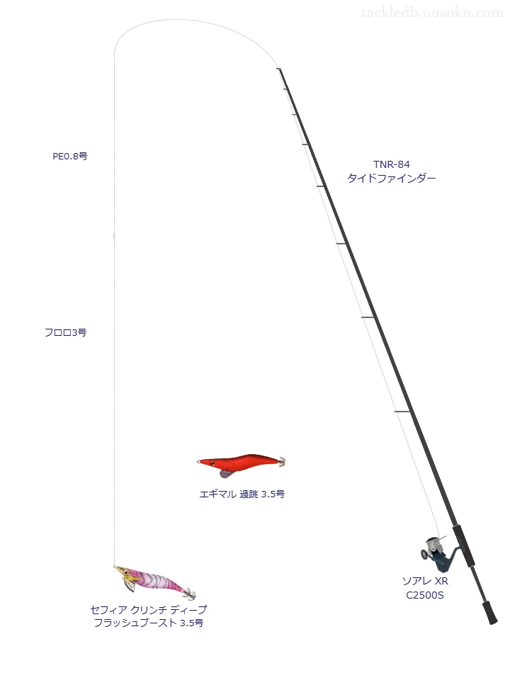 TNR-84 タイドファインダーを使用した最強エギングタックル