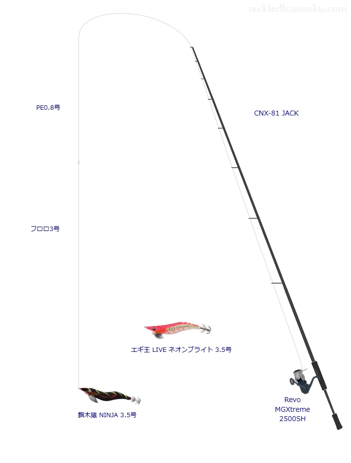 CNX-81 JACKとアブガルシアのリールで餌木猿 NINJA 3.5号を使用するタックル
