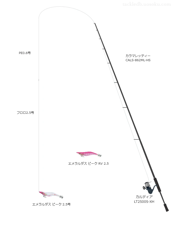 エメラルダス ピーク 2.5号のためのエギングタックル