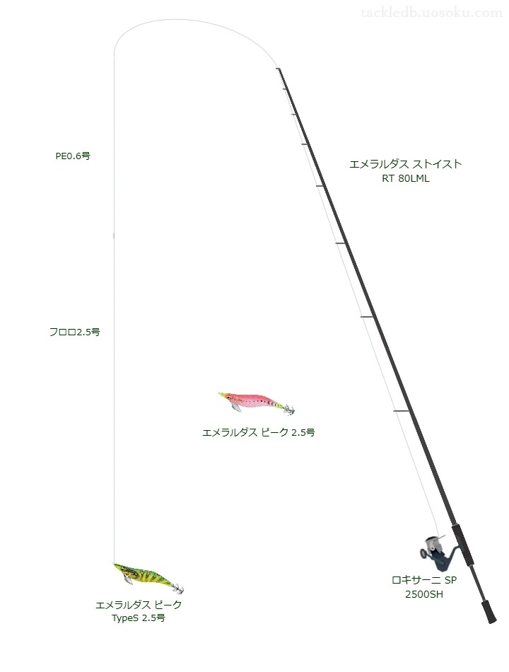 エメラルダス ストイスト RT 80LML,ロキサーニ SP 2500SH,を使うエギングタックル【仮想インプレ】