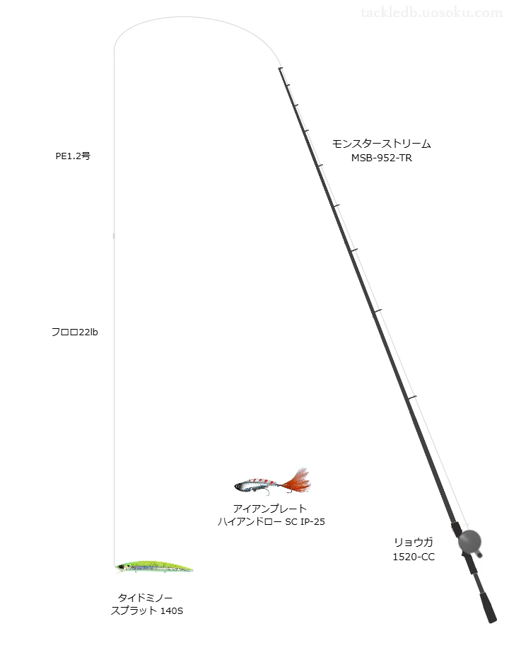 ショアシーバスに関するタックル、仕掛け図解