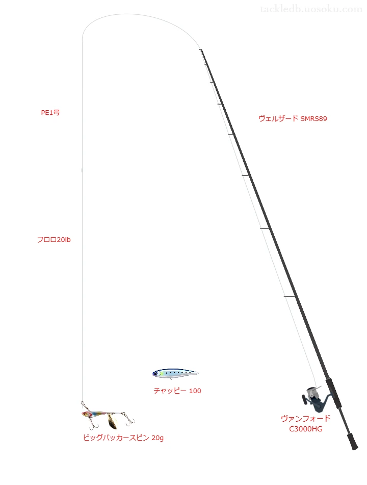 ヴェルザード SMRS89とビッグバッカースピン 20gによる最強シーバスタックル