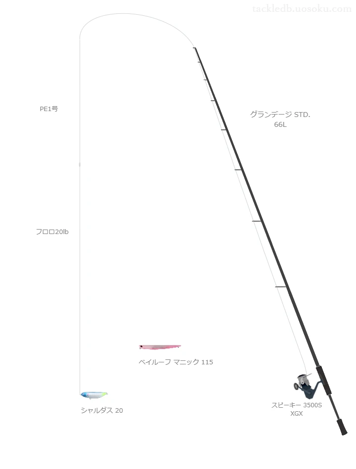 ウエイトが18.0g程度のルアーのためのシーバスタックル【シャルダス 20】