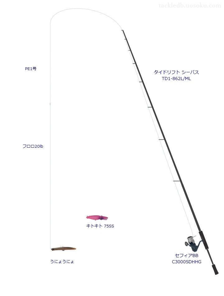 ピットブル 8+ 1号とソルティメイト カットイン 20lbを使用したシーバスタックル【タイドリフト シーバス TD1-862L/ML】