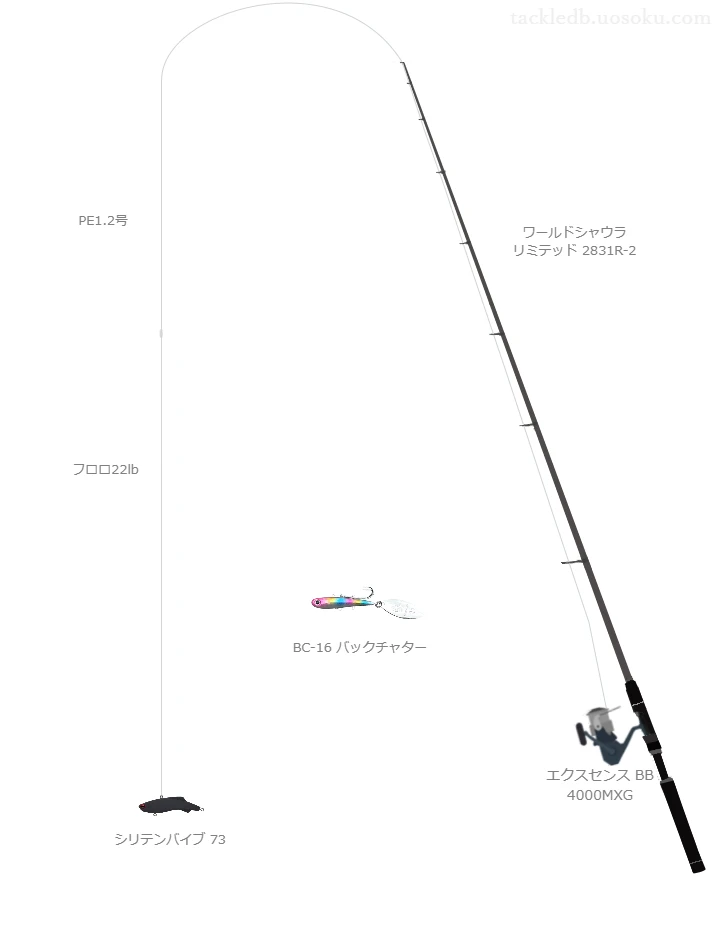 ワールドシャウラ リミテッド 2831R-2とエクスセンス BB 4000MXG,シリテンバイブ 73によるシーバスタックル【仮想インプレ】