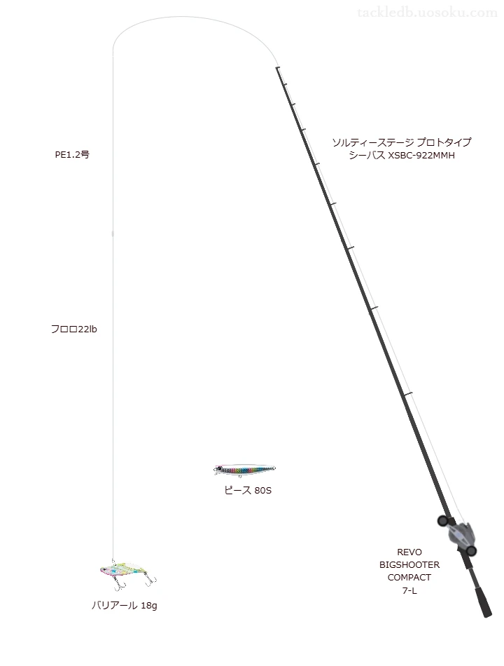 ショアシーバスに関するタックル、仕掛け図解