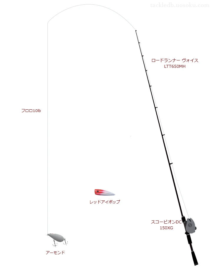 ロードランナー ヴォイス LTT650MHとトップウォーターによるバス釣りタックル【Vインプレ】