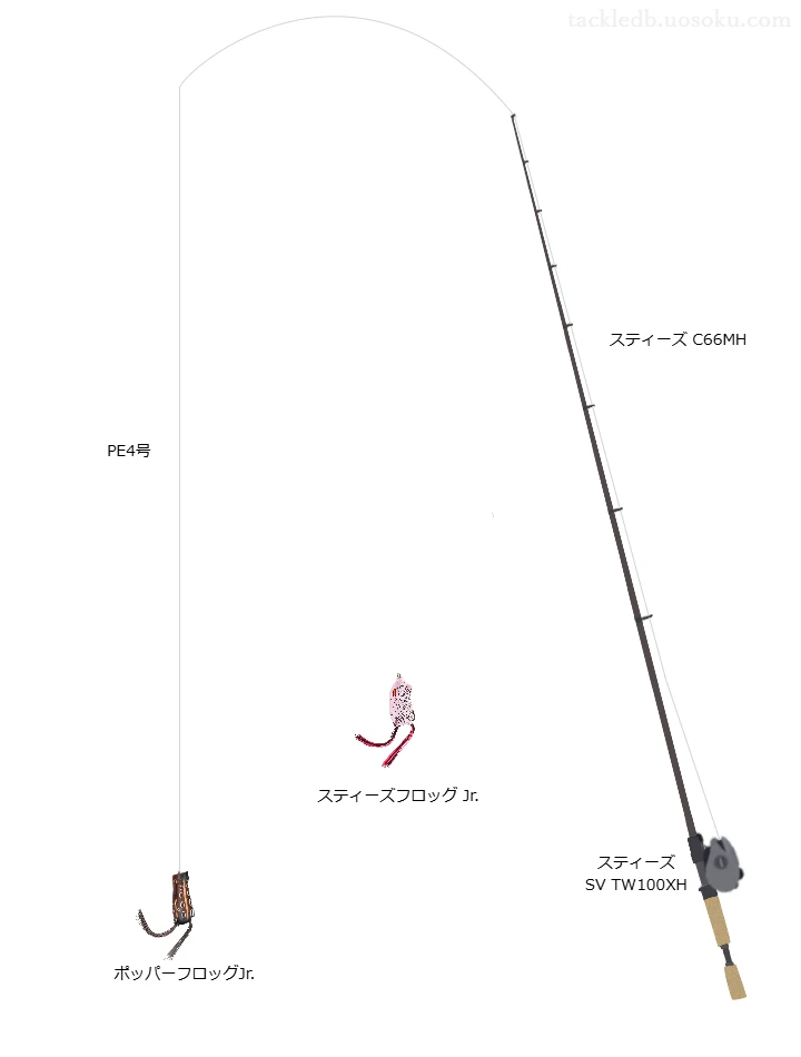 【霞ヶ浦】フロッグ用タックル【24スティーズ SV TW100XH】