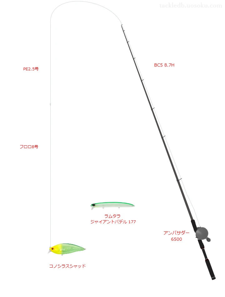 BC5 8.7Hを使用した最強シーバスタックル