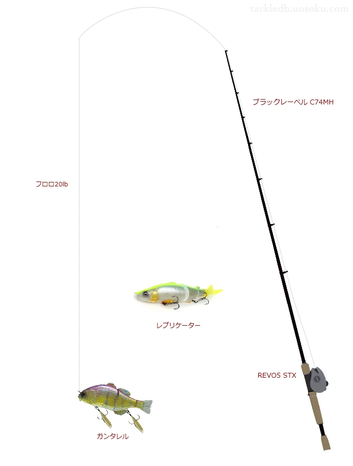 ブラックレーベル C74MHとアブガルシアのリールでガンタレルを使用するタックル